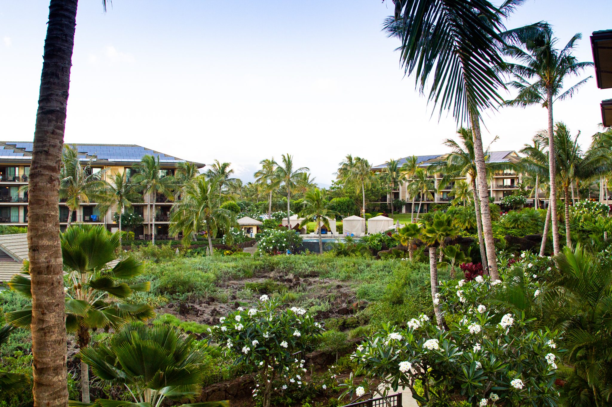 koloa landing resort