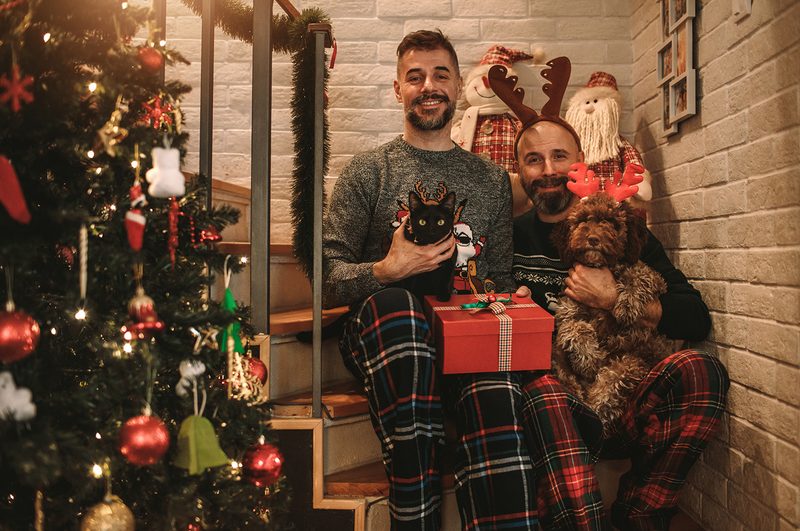 holiday card ideas pets