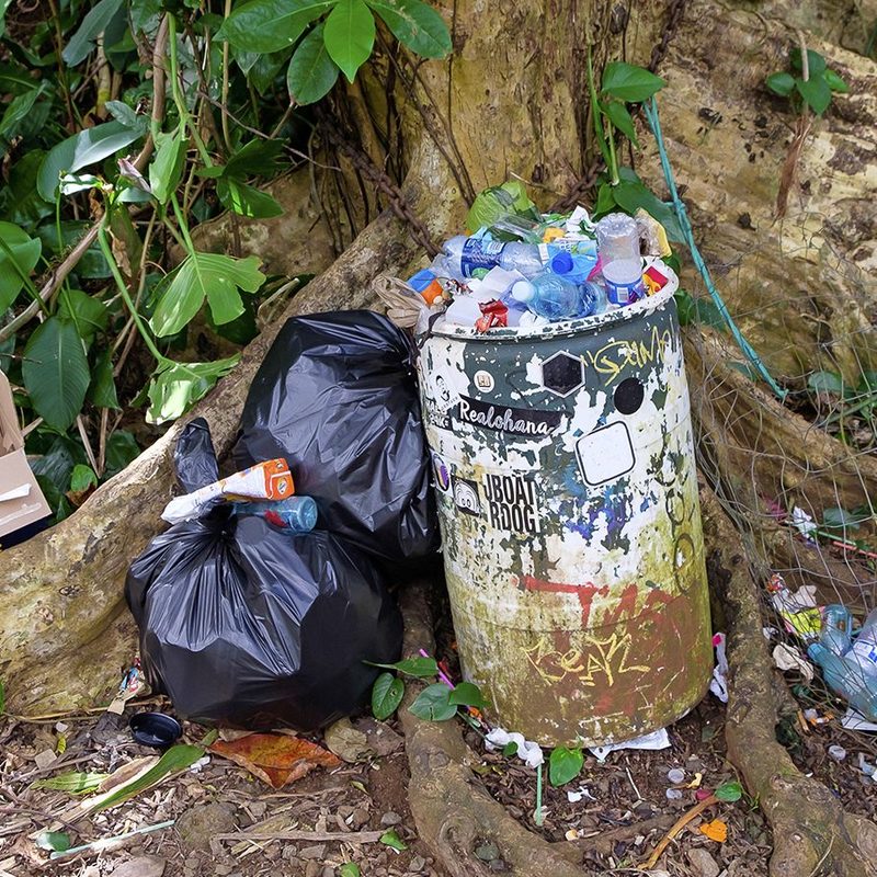 Trash on the Manoa Falls Hiking Trail in Oahu, Hawaii.