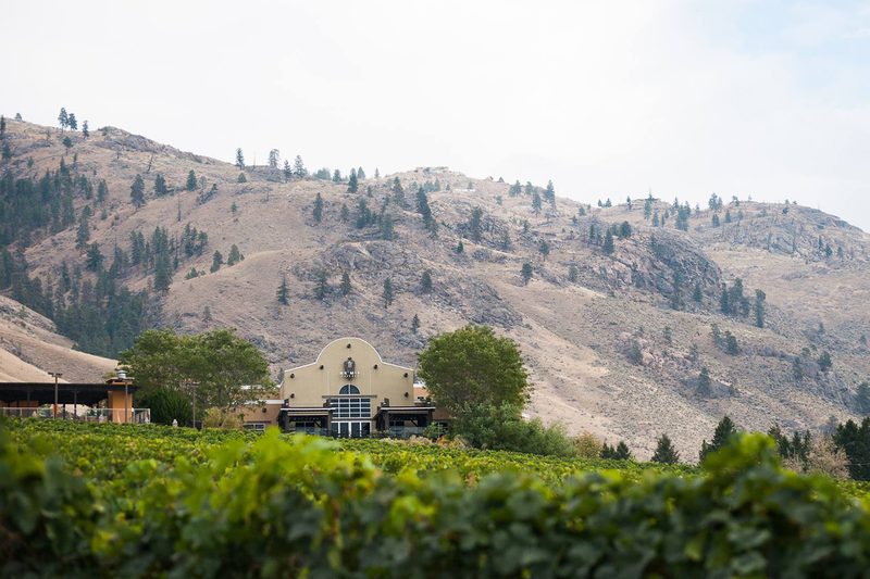 NkMip Cellars