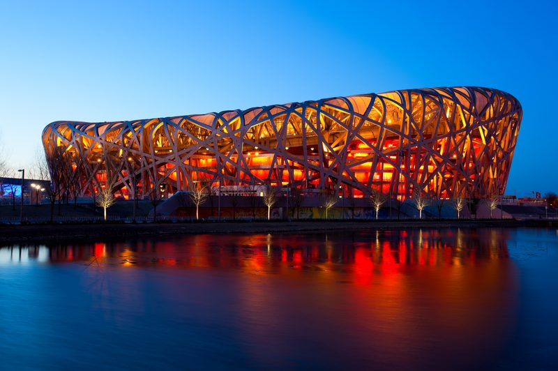 The Bird's Nest