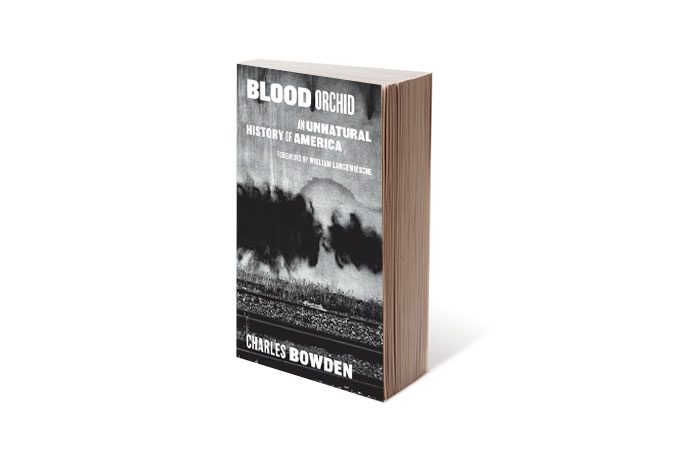 Blood Orchid by Charles Bowden