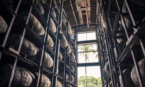 Diplomático Rum Distillery