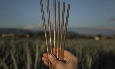 jose cuervo agave straw