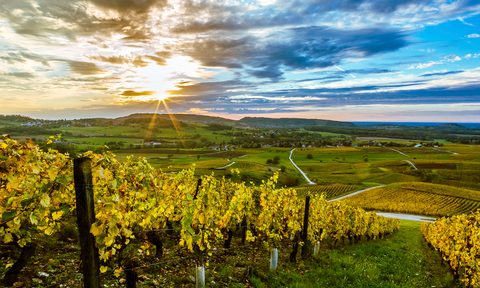 jura wine region france