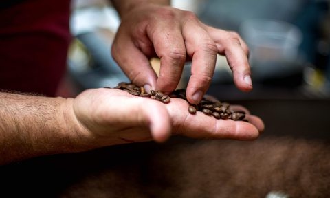 Mostra Coffee beans