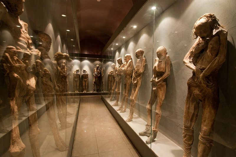 Museum of the Mummies