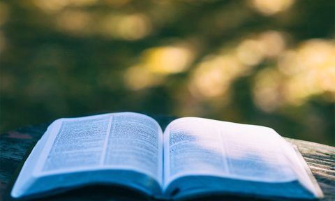 best nature books book