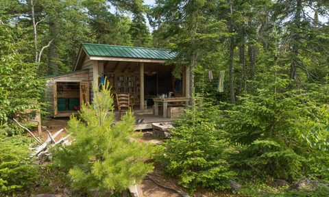 Rabbit Island Artist Residency Cabin