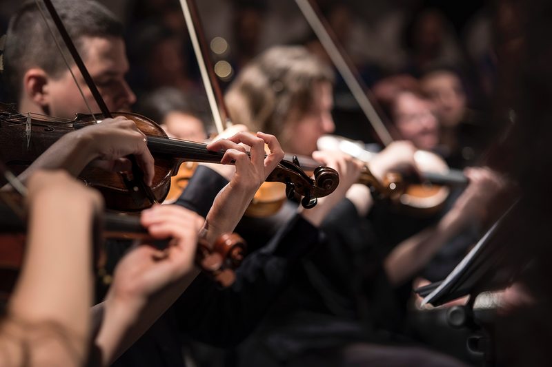 string quartet violins