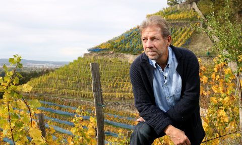 what is negociant wine buyer maker getty images 1177976014