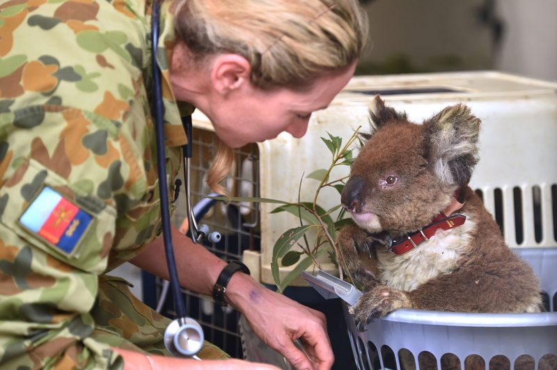 australia fires