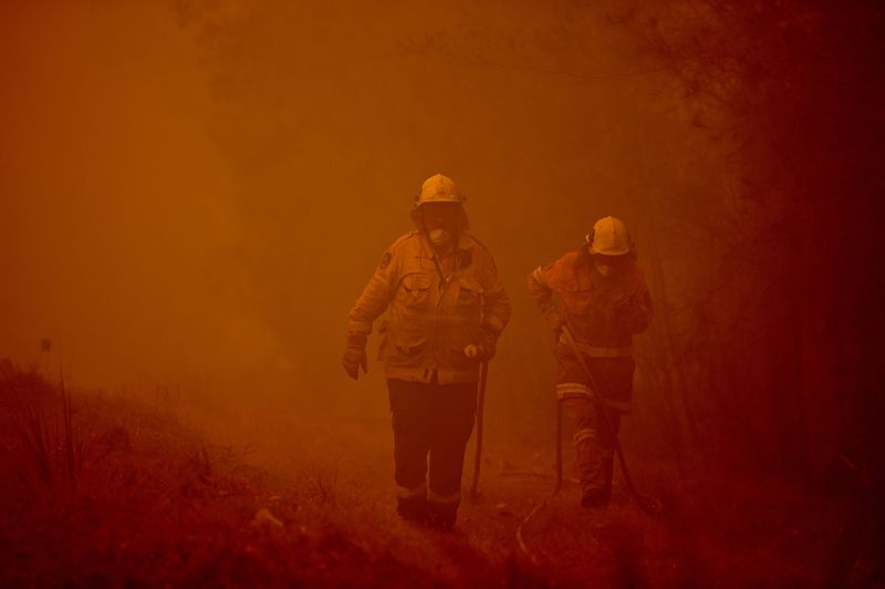 Firefighters tackle a bushfire