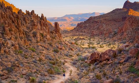 cam honan wanderlust usa book hiking interview p 263 photochristopherzebo wanderlustusa gestalten2019