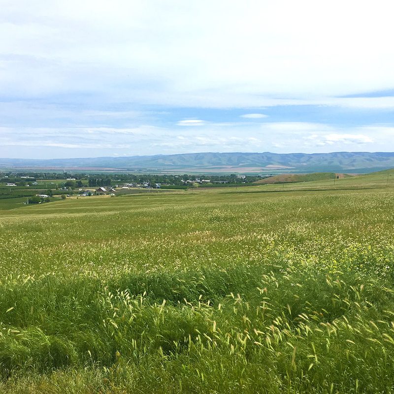 Walla Walla, Washington