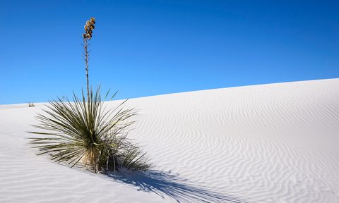White Sands National Monument