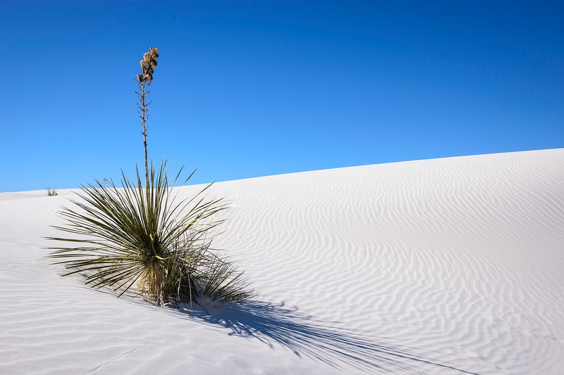 White Sands National Monument