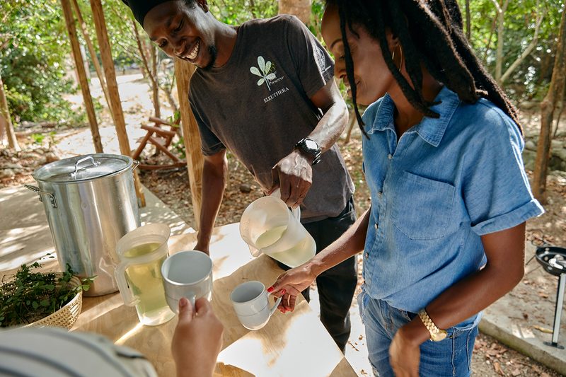 Airbnb Bahamas Sabbatical bush tea