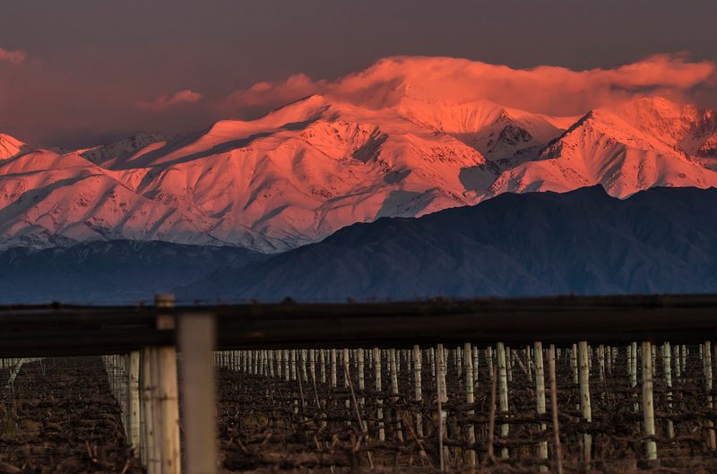 argentina wine vineyards andes mountains