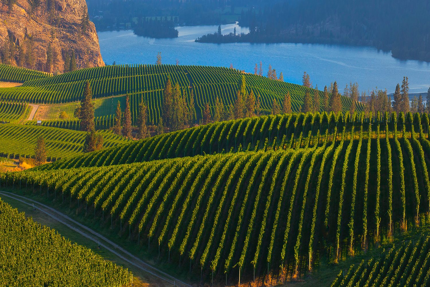 British Columbia Canada Okanagan Wine Country vineyards