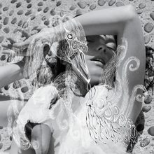 Vespertine by Bjork