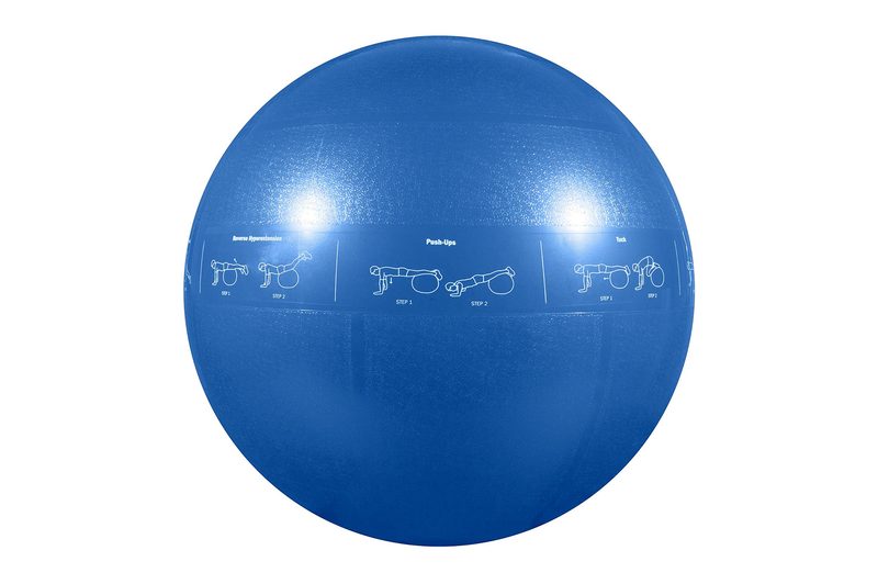 GoFit Professional Grade Stability Ball