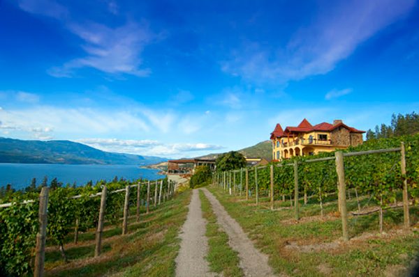 Gray Monk winery