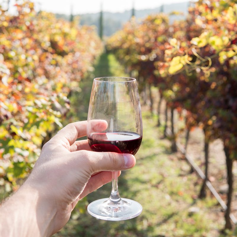 person holding a wine.