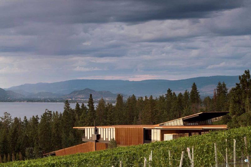 Martin’s Lane winery