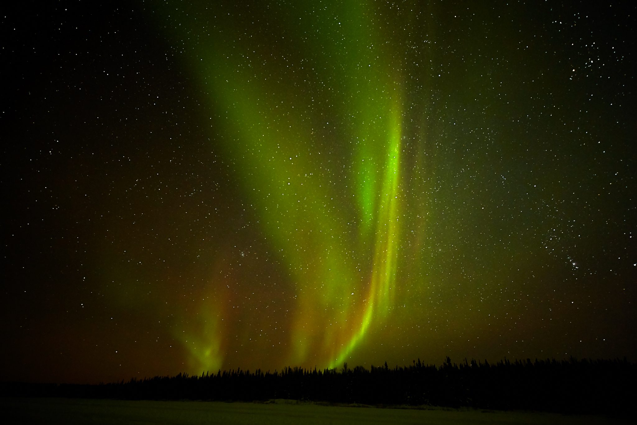 great northern lights