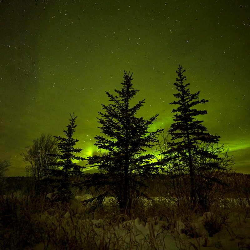 Great northern lights