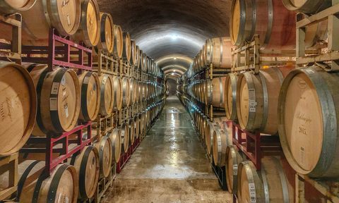 Wine barrel barrique