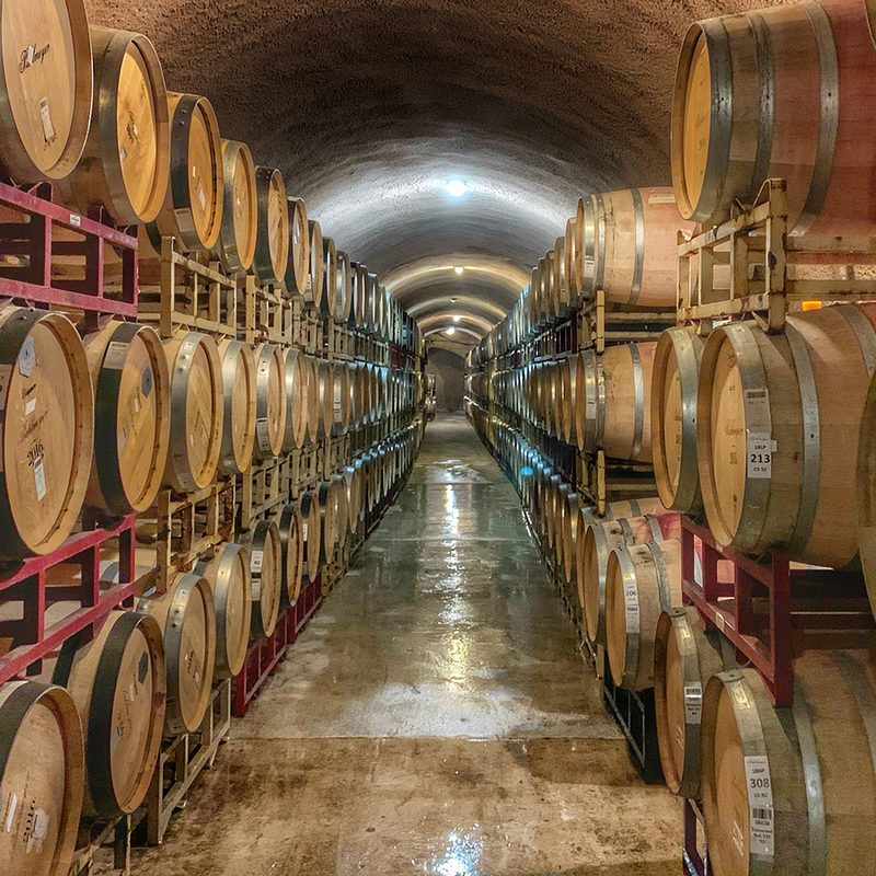 Wine barrel barrique