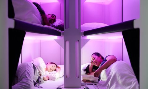 air-new-zealand-skynest