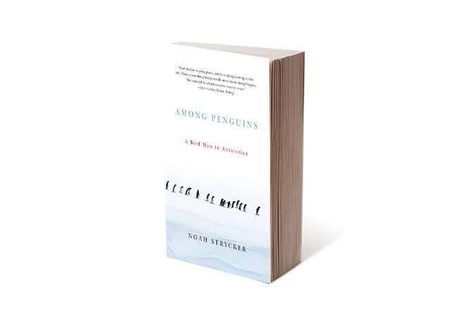 Among Penguins: A Bird Man in Antarctica by Noah Stryker