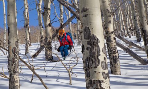 Bluebird Backcountry