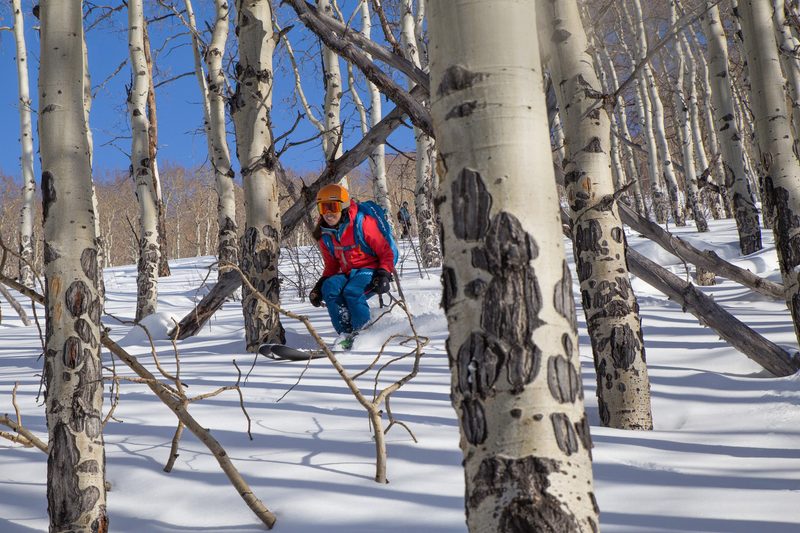 Bluebird Backcountry