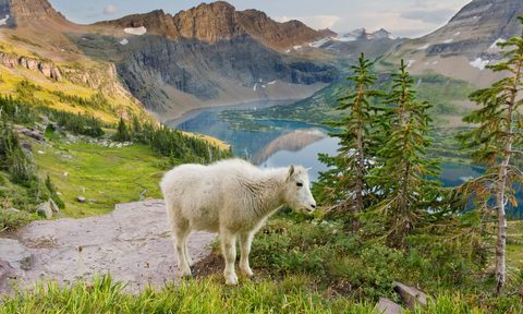 glacier national park