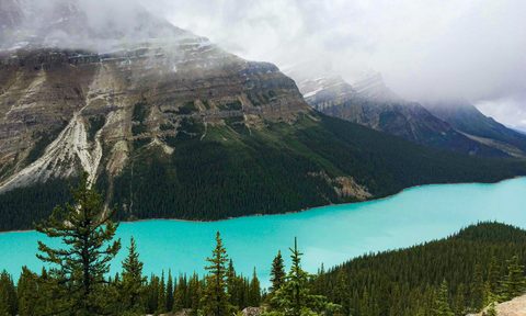 jasper national park in the summer
