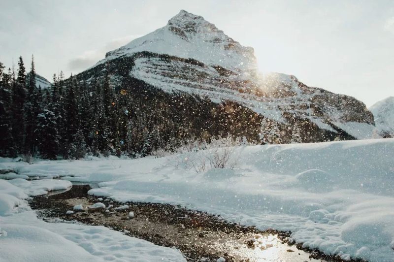 jasper national park in winter