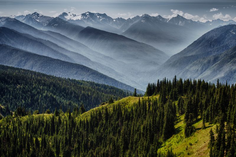 olympic national park
