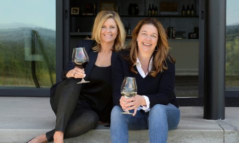 Ponzi Vineyards