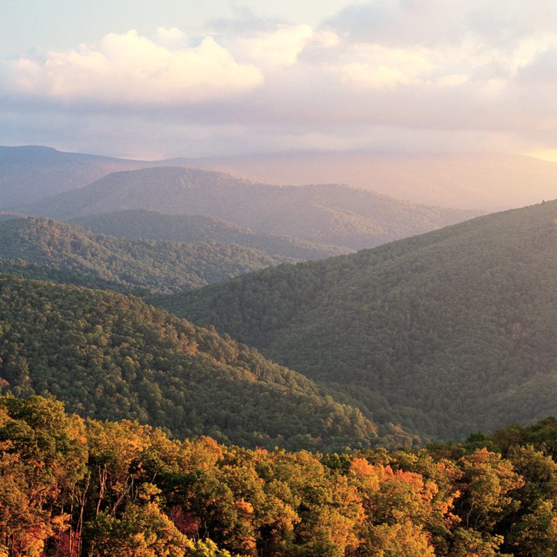 Shenandoah National Park