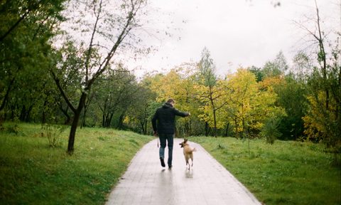 social distancing park walk dog coronavirus