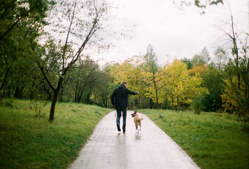 social distancing park walk dog coronavirus