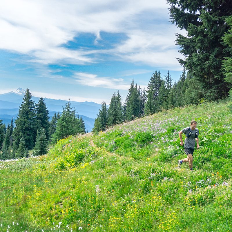 A man runs along a trail through a field of wildflowers.