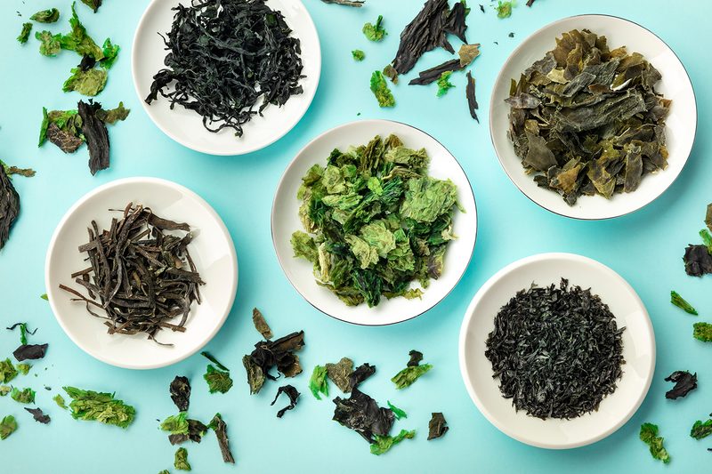umami dried seaweed kelp