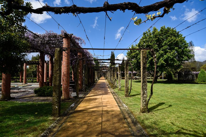 Vinho Verde