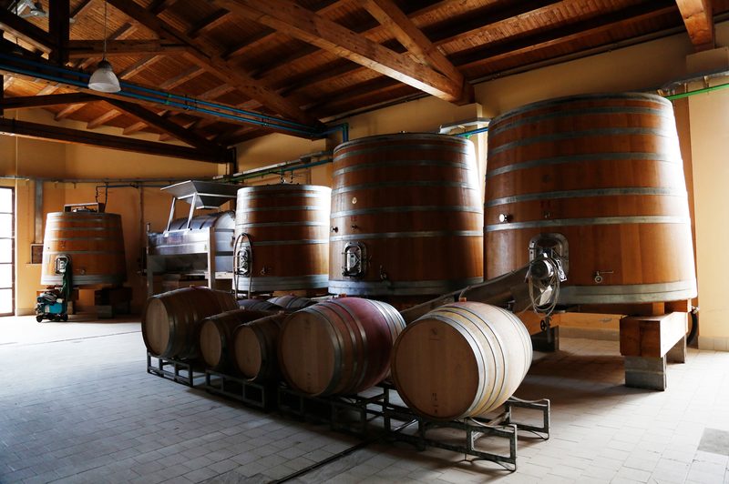 wine barrels in storehouse