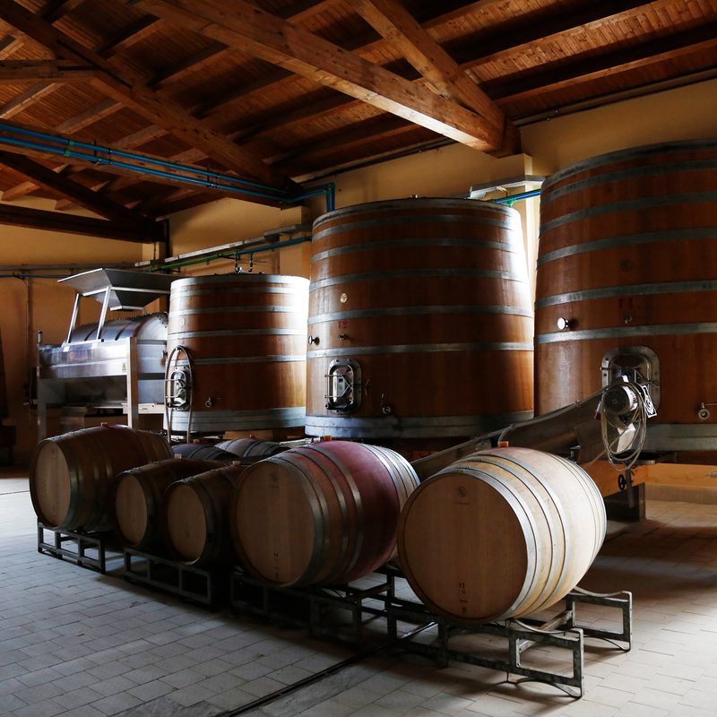 wine barrels in storehouse